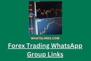 Forex Trading WhatsApp Group Links