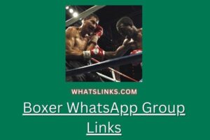 Boxer WhatsApp Group